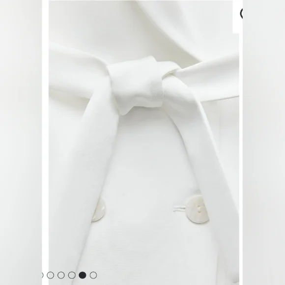 Zara Long Double Breasted Vest - Picture 5 of 5